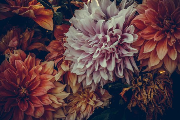 L'aquagym en préparation pour les sports d'été